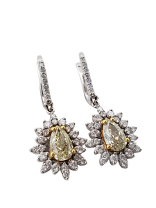 Fancy Diamond Earring