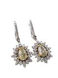 Fancy Diamond Earring