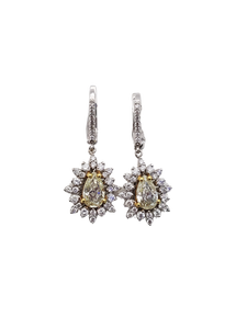 Fancy Diamond Earring