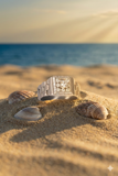 18K White Gold Diamond Ring