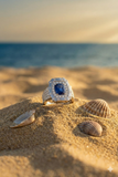 18K White Gold Diamond with Blue Sapphire